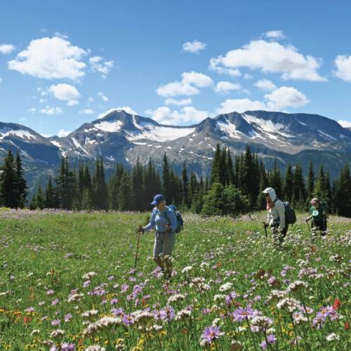 Hikers on Canadian mountain trail