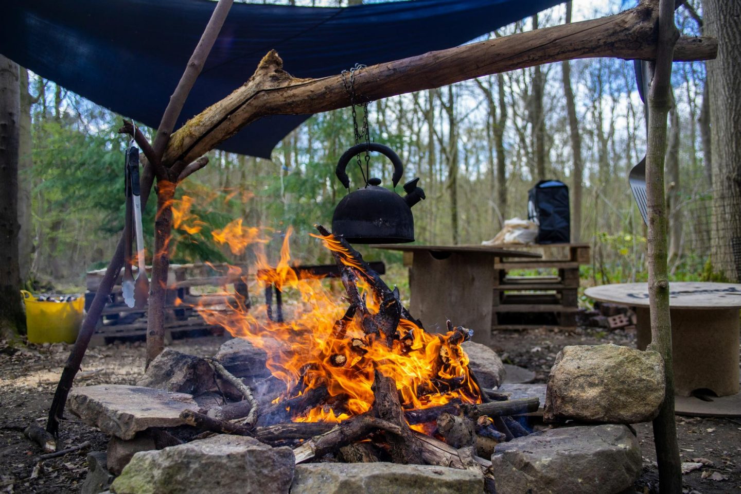 Campfire cooking setup