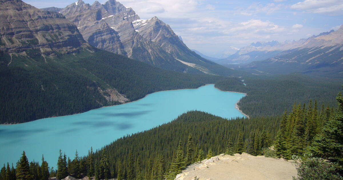 Fall colors at Peyto Lake