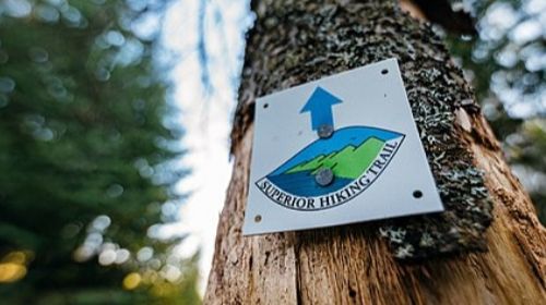 Trail marker on tree