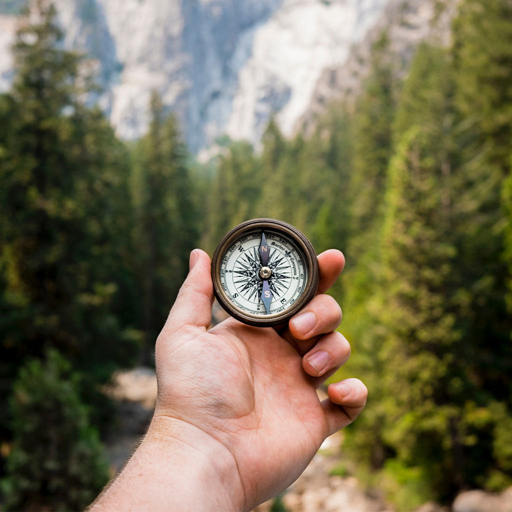 Hand holding compass in forest